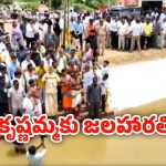CM Chandrababu: ఎట్టకేలకు ఫలించిన చంద్రబాబు కృషి.. కుప్పంలో కృష్ణమ్మకు సీఎం జలహారతి