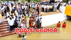 CM Chandrababu: ఎట్టకేలకు ఫలించిన చంద్రబాబు కృషి.. కుప్పంలో కృష్ణమ్మకు సీఎం జలహారతి