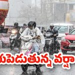 Rain Alert: ఓర్నాయనో.. ఇంకా 3 రోజులు వానలే వానలు.. ఈ జిల్లాల్లో పిడుగుల పడే అవకాశం