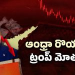 Trump tariff: ట్రంప్ టారిఫ్ దెబ్బ.. ఆంధ్రా రొయ్యలు విల విల.. సీ ఫుడ్ ఇండస్ట్రీపై పడే ఎఫెక్ట్ ఎంత?