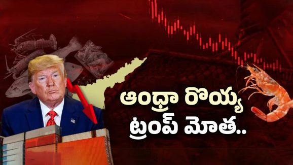 Trump tariff: ట్రంప్ టారిఫ్ దెబ్బ.. ఆంధ్రా రొయ్యలు విల విల.. సీ ఫుడ్ ఇండస్ట్రీపై పడే ఎఫెక్ట్ ఎంత?