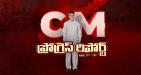 Warangal News: కేవలం అక్రమ సంబంధమే కాదు..  ప్రియుడితో భార్య ప్లాన్, కాకపోతే సీన్ రివర్స్