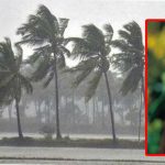 Weather Update: వర్షపాతాన్ని ఎలా కొలుస్తారు ? రెడ్, ఆరెంజ్, ఎల్లో అలెర్ట్‌కు అర్థం ఏంటి ?