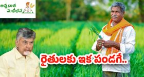 Intinti Ramayanam Today Episode: అక్షయ్ ను గుడ్డిగా నమ్మిన అవని.. ప్రణతికి ద్రోహం చేస్తాడా..? పల్లవి మాస్టర్ ప్లాన్..