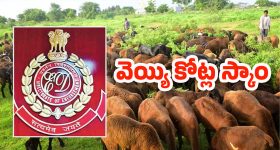 Solar Eclipse: 6 నిమిషాలు.. చీకటి గుప్పిట్లో ప్రపంచం, ఆగష్టు 2న ఏం జరగబోతోందంటే?