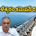 PC Ghosh Commission: అందుకే ఇదంతా.. మేడిగడ్డ కుంగుబాటు అసలు కారణం ఇదే: KCR