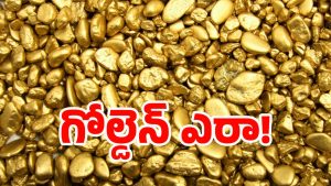 Gold: బంగారం ఎప్పుడు వాడుకలోకి వచ్చింది? ఎవరి కాలంలో తీసుకొచ్చారు? శాస్త్రవేత్తలు ఇప్పుడు కొత్తగా తేల్చిందేంటి?