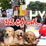Save Delhi Dogs: ఈ ఆపరేషన్ చేస్తే వీధికుక్కల బెడద ఉండదు.. సేవ్ ఢిల్లీ డాగ్స్ పేరుతో పెట్ లవర్స్ ర్యాలీ
