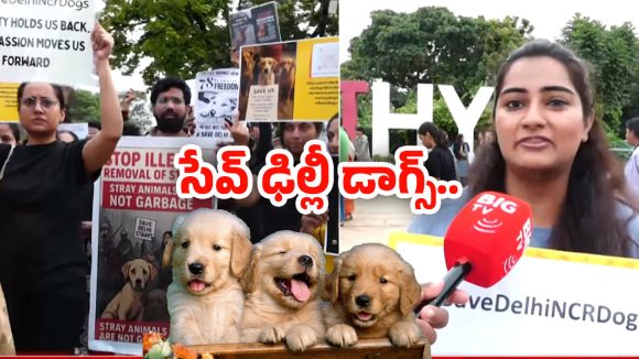 Save Delhi Dogs: ఈ ఆపరేషన్ చేస్తే వీధికుక్కల బెడద ఉండదు.. సేవ్ ఢిల్లీ డాగ్స్ పేరుతో పెట్ లవర్స్ ర్యాలీ