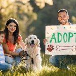puppy Adoption: శునకాల దత్తతకు మీరు సిద్ధమా? అయితే ఇక్కడికి వెళ్లండి!
