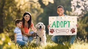 puppy Adoption: శునకాల దత్తతకు మీరు సిద్ధమా? అయితే ఇక్కడికి వెళ్లండి!