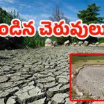 RangaReddy District:  రాష్ట్రమంతా వర్షాలు దంచికొడుతున్నా.. ఈ రెండు చెరువుల్లో చుక్క నీళ్లు లేని పరిస్థితి..