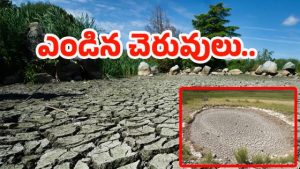 RangaReddy District:  రాష్ట్రమంతా వర్షాలు దంచికొడుతున్నా.. ఈ రెండు చెరువుల్లో చుక్క నీళ్లు లేని పరిస్థితి..