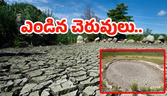 RangaReddy District:  రాష్ట్రమంతా వర్షాలు దంచికొడుతున్నా.. ఈ రెండు చెరువుల్లో చుక్క నీళ్లు లేని పరిస్థితి..
