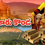 TTD Treasury: వెంకన్న ఖజానాలో ఉన్న బంగారం ఎంతో తెలిస్తే అవాక్కవుతారు!