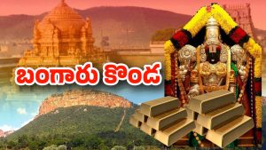 TTD Treasury: వెంకన్న ఖజానాలో ఉన్న బంగారం ఎంతో తెలిస్తే అవాక్కవుతారు!