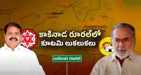 AP Politics: టీడీపీకి పిల్లి సత్తిబాబు రాజీనామా.. కారణం ఇదేనా?