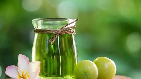 Amla For Hair: ఉసిరి ఇలా వాడితే.. జుట్టు వద్దన్నా పెరుగుతుంది తెలుసా ?