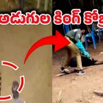 Viral Video: అమ్మ బాబోయ్.. బాత్ రూమ్‌లో కింగ్ కోబ్రా.. ఎక్కడో తెలుసా?