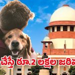 SC on Stray Dogs: వీధి కుక్కల అంశంలో సుప్రీంకోర్టు కీలక ఆదేశాలు.. అన్ని రాష్ట్రాల సీఎస్ లకు నోటీసులు జారీ