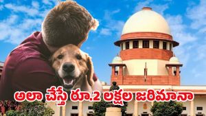 SC on Stray Dogs: వీధి కుక్కల అంశంలో సుప్రీంకోర్టు కీలక ఆదేశాలు.. అన్ని రాష్ట్రాల సీఎస్ లకు నోటీసులు జారీ