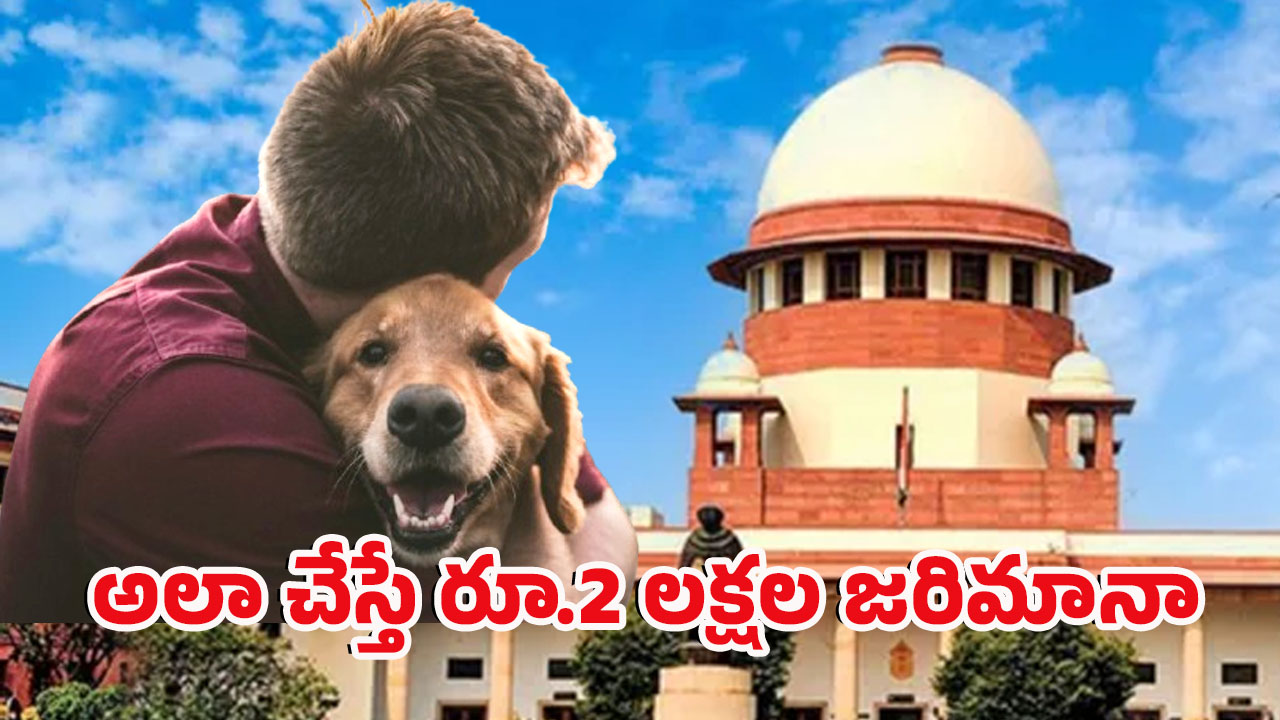 SC on Stray Dogs: వీధి కుక్కల అంశంలో సుప్రీంకోర్టు కీలక ఆదేశాలు.. అన్ని రాష్ట్రాల సీఎస్ లకు నోటీసులు జారీ