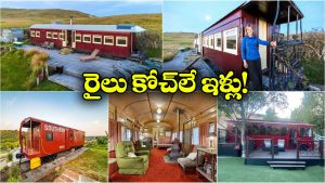 Trains Turns Tiny Home:  రైలు బోగీలను ఇళ్లుగా మారిస్తే.. వావ్, ఎంత బాగున్నాయో చూడండి!