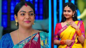 Tv Actress : ఒక్కరోజుకు సీరియల్ హీరోయిన్స్ రెమ్యూనరేషన్.. వంటలక్కకు పోటీగా నటిగా..!