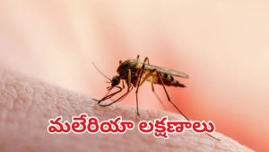 Malaria: మలేరియా లక్షణాలు, నివారణ మార్గాలు ఇవే !