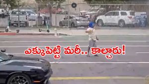 Los Angeles News: లాస్ ఏంజెల్స్‌లో విషాదం.. పోలీసుల కాల్పుల్లో భారత సంతతి వ్యక్తి మృతి!
