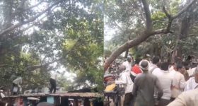 Monkey incident: చెట్టెక్కిన కోతి.. కింద కురిసిన నోట్ల వర్షం.. ఎంత అదృష్టమో!