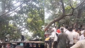Monkey incident: చెట్టెక్కిన కోతి.. కింద కురిసిన నోట్ల వర్షం.. ఎంత అదృష్టమో!