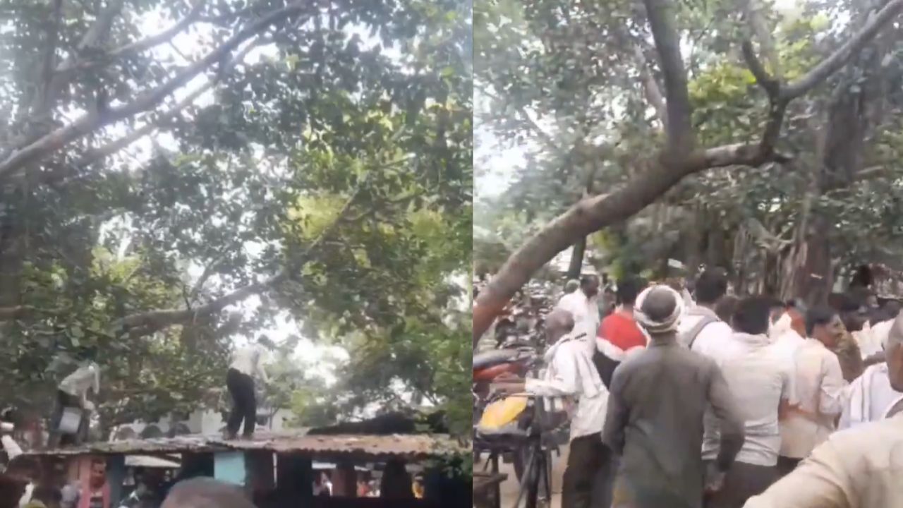 Monkey incident: చెట్టెక్కిన కోతి.. కింద కురిసిన నోట్ల వర్షం.. ఎంత అదృష్టమో!