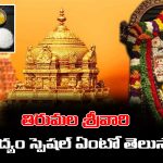 Tirumala Naivedyam: తిరుమల శ్రీవారికి నైవేద్యం ఎలా సమర్పిస్తారో తెలుసా..? ఏ దేవుడికి అలాంటి నైవేద్యం పెట్టరేమో..?