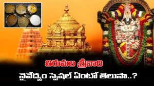 Tirumala Naivedyam: తిరుమల శ్రీవారికి నైవేద్యం ఎలా సమర్పిస్తారో తెలుసా..? ఏ దేవుడికి అలాంటి నైవేద్యం పెట్టరేమో..?