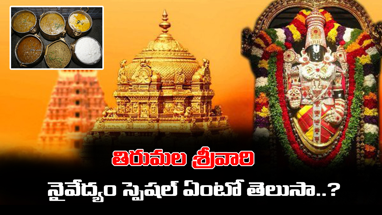 Tirumala Naivedyam: తిరుమల శ్రీవారికి నైవేద్యం ఎలా సమర్పిస్తారో తెలుసా..? ఏ దేవుడికి అలాంటి నైవేద్యం పెట్టరేమో..?
