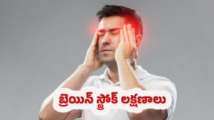 Warning Signs of Stroke: బ్రెయిన్ స్ట్రోక్.. ప్రారంభ లక్షణాలు ఎలా ఉంటాయి ?