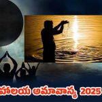 Mahalaya Amavasya 2025: మహాలయ అమావాస్య ఈ నియమాలు పాటిస్తే.. పితృదోషం తొలగిపోతుంది