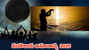 Mahalaya Amavasya 2025: మహాలయ అమావాస్య ఈ నియమాలు పాటిస్తే.. పితృదోషం తొలగిపోతుంది