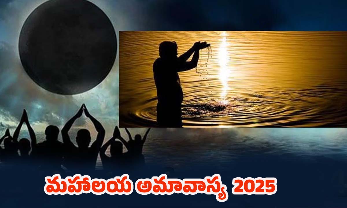 Mahalaya Amavasya 2025: మహాలయ అమావాస్య ఈ నియమాలు పాటిస్తే.. పితృదోషం తొలగిపోతుంది