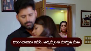 Nindu Noorella Saavasam Serial Today September 22nd: ‘నిండు నూరేళ్ల సావాసం’ సీరియల్‌: అమర్‌,  మిస్సమ్మను చాటుగా చూసిన మను
