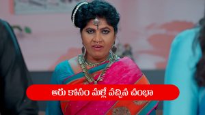 Nindu Noorella Saavasam Serial Today September 30th: ‘నిండు నూరేళ్ల సావాసం’ సీరియల్‌: అమర్ కోసం మనోహరి కొత్త ప్లాన్‌
