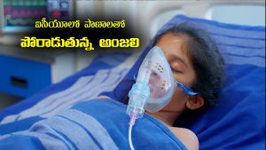 Nindu Noorella Saavasam Serial Today September 10th: ‘నిండు నూరేళ్ల సావాసం’ సీరియల్‌:  ఐసీయూలో ప్రాణాలతో పోరాడుతున్న అంజు 