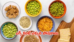 High Protein Food: ఎగ్స్‌కు బదులుగా ఇవి తింటే.. ఫుల్ ప్రోటీన్