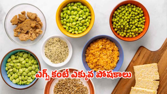 High Protein Food: ఎగ్స్‌కు బదులుగా ఇవి తింటే.. ఫుల్ ప్రోటీన్
