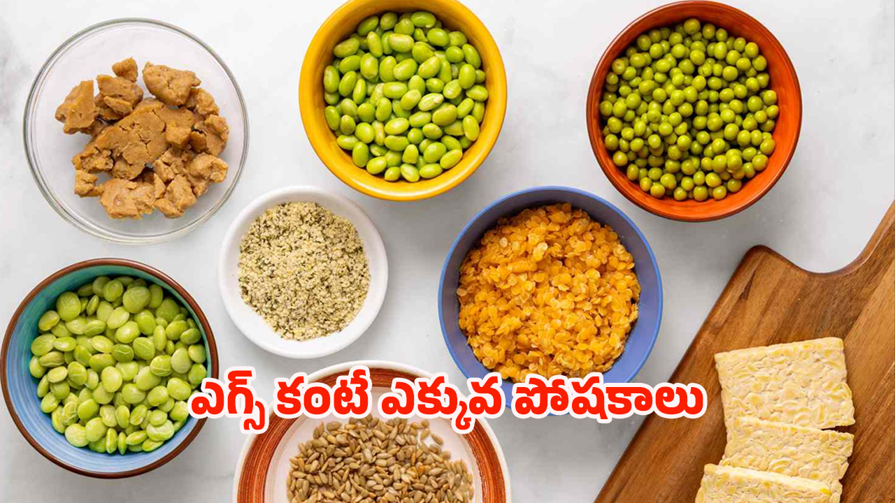 High Protein Food: ఎగ్స్‌కు బదులుగా ఇవి తింటే.. ఫుల్ ప్రోటీన్