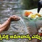 Pitru Paksha 2025: పితృ పక్షంలో చనిపోయిన వారికి.. పిండ ప్రదానం ఎందుకు చేయాలి ?