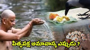 Pitru Paksha 2025: పితృ పక్షంలో చనిపోయిన వారికి.. పిండ ప్రదానం ఎందుకు చేయాలి ?