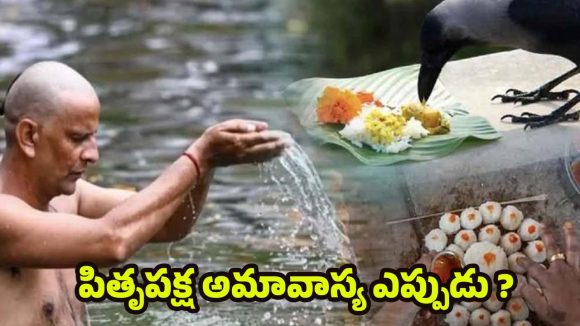Pitru Paksha 2025: పితృ పక్షంలో చనిపోయిన వారికి.. పిండ ప్రదానం ఎందుకు చేయాలి ?