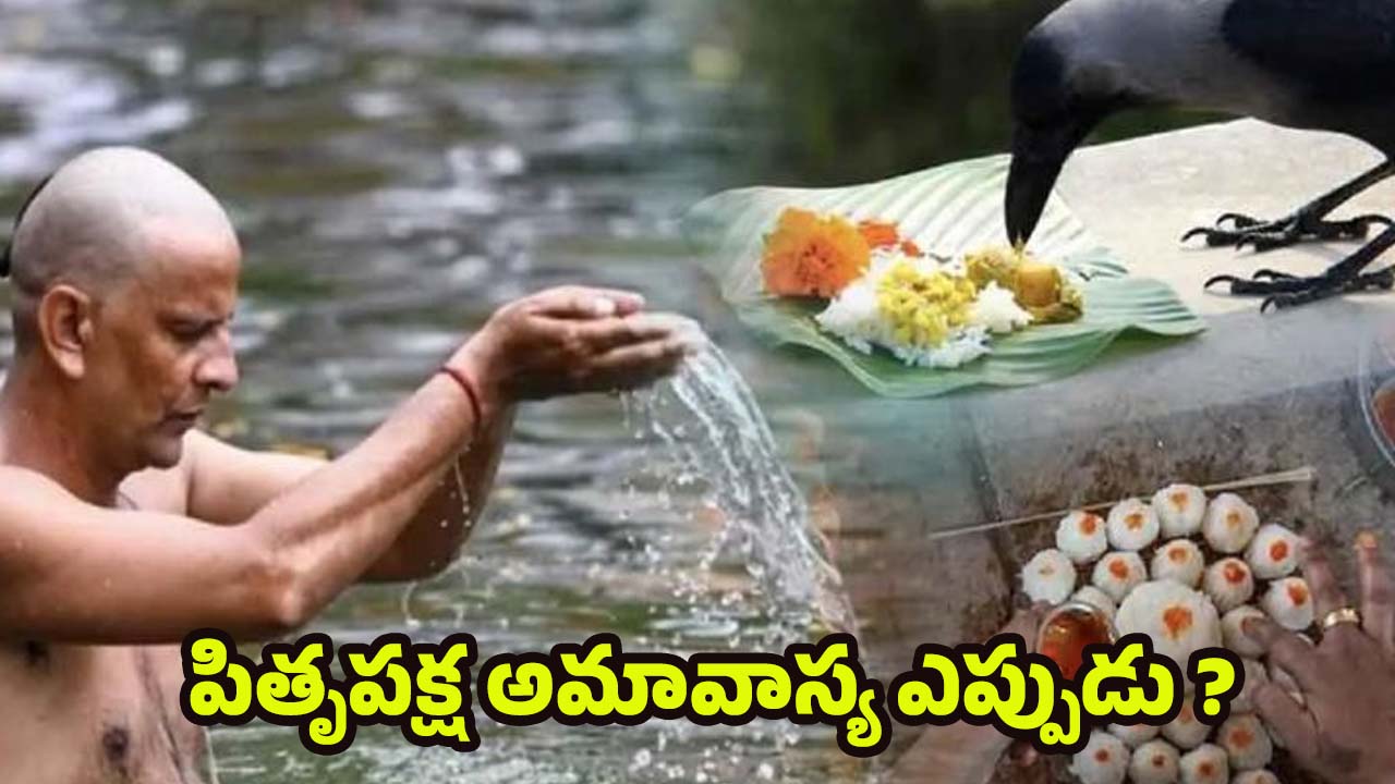 Pitru Paksha 2025: పితృ పక్షంలో చనిపోయిన వారికి.. పిండ ప్రదానం ఎందుకు చేయాలి ?